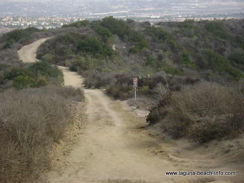 West Ridge Trail, Aliso and Woods Canyon Wilderness Park, Laguna Beach Parks