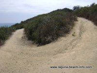 Aliso Peak Trail, Laguna Beach, California