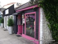 the black flamingo, womens clothing fashion boutique store, laguna beach shops