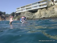 Divers Cove, Laguna Beach beach - Laguna Beach Information, California Beaches