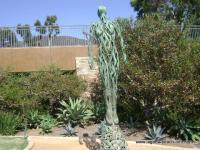 Treasure Island Park, Laguna Beach, California