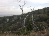 West Ridge Trail Hike Trail in Laguna Beach, California