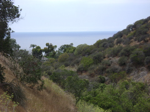 View from Valido Hiking Trail in Laguna Beach