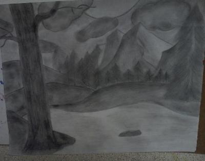 Pencil Drawing
