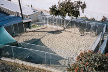 Coastal Kennels, Laguna Beach Dog Day Care and Boarding