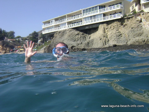 Divers Cove Laguna Beach, California