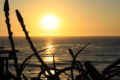 Laguna Beach Sunset