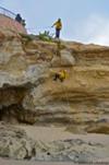 Firefighters practicing cliffside rescues