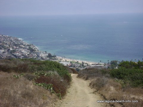 Main Beach from Water Tank Trail: Laguna Beach Hiking Trail