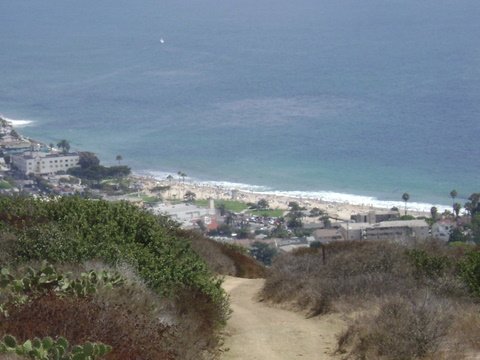 Main Beach from Water Tank Trail in Laguna Beach