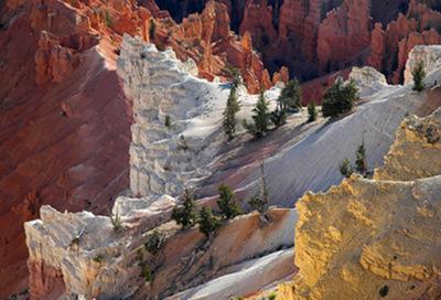 Sublime Color<br>by Gar Cropser