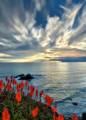 White Clouds<br>by Gar Cropser