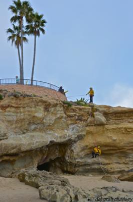 Firefighters practicing cliffside rescue