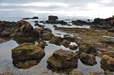 Laguna Beach: Source of much-needed restoration