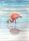 Flamingo<br>Watercolor Painting by Karen Styron Stone